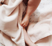 Load image into Gallery viewer, Biscuit