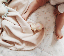 Load image into Gallery viewer, Biscuit