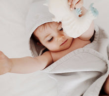 Load image into Gallery viewer, Céleste