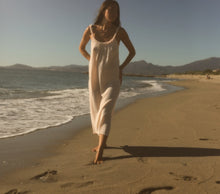 Load image into Gallery viewer, Coquille
