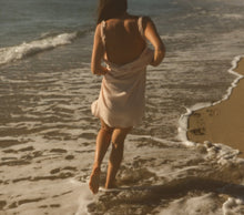 Load image into Gallery viewer, Coquille
