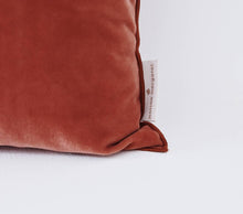 Load image into Gallery viewer, Salmone
