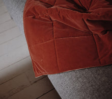 Load image into Gallery viewer, Salmone
