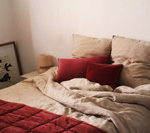 Load image into Gallery viewer, Salmone
