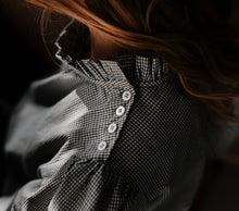 Load image into Gallery viewer, Zephyr
