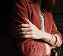 Load image into Gallery viewer, Salmone
