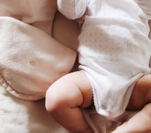 Load image into Gallery viewer, Biscuit
