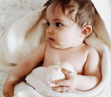 Load image into Gallery viewer, Biscuit
